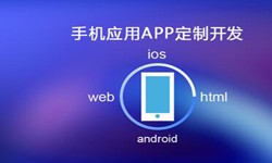 APP开发市场上常见问题分析-北京乐投线上平台,乐玩（中国）公司